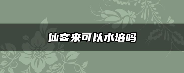 仙客来可以水培吗