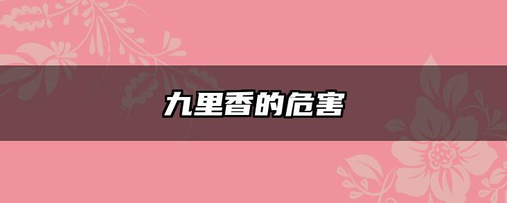九里香的危害
