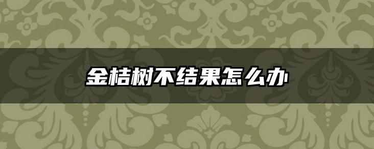 金桔树不结果怎么办