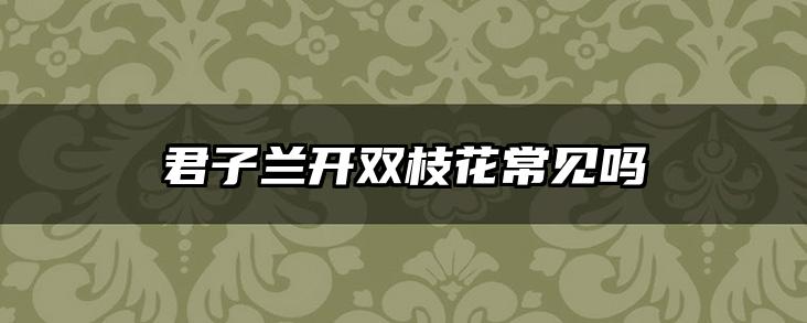 君子兰开双枝花常见吗