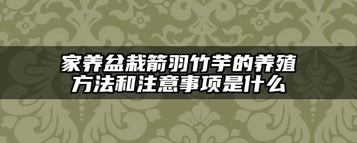 家养盆栽箭羽竹芋的养殖方法和注意事项是什么