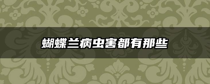 蝴蝶兰病虫害都有那些