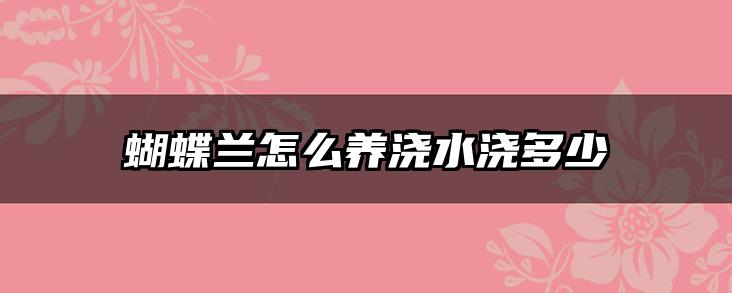 蝴蝶兰怎么养浇水浇多少