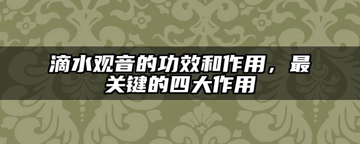 滴水观音的功效和作用,最关键的四大作用