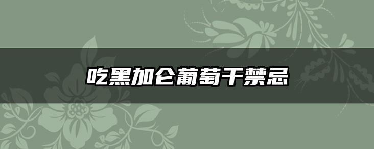 吃黑加仑葡萄干禁忌