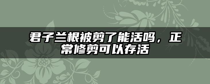 君子兰根被剪了能活吗，正常修剪可以存活