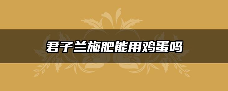 君子兰施肥能用鸡蛋吗