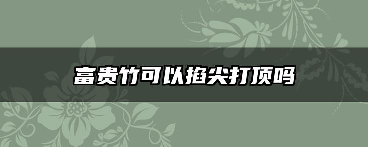 富贵竹可以掐尖打顶吗