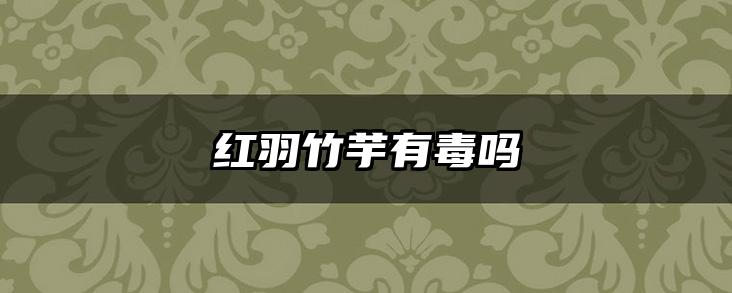 红羽竹芋有毒吗
