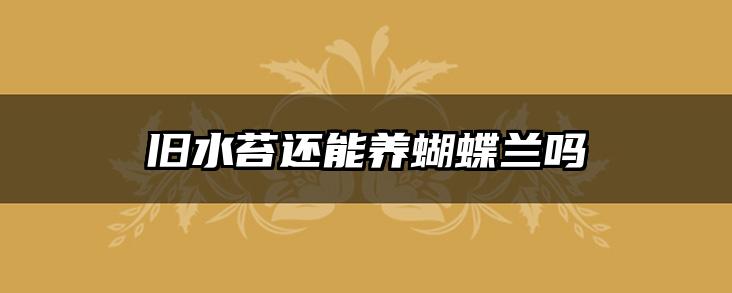 旧水苔还能养蝴蝶兰吗