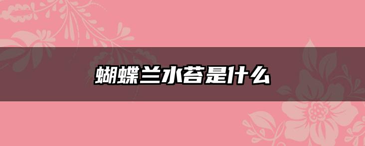蝴蝶兰水苔是什么