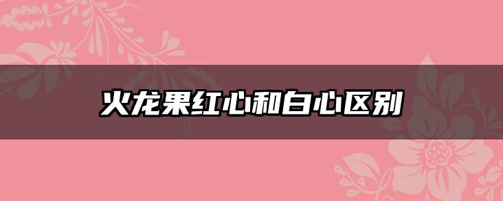 火龙果红心和白心区别