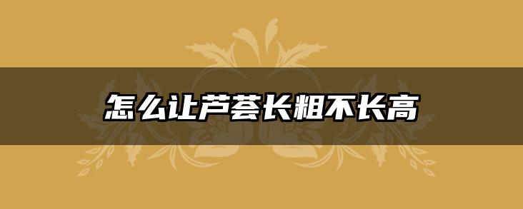 怎么让芦荟长粗不长高