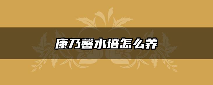 康乃馨水培怎么养