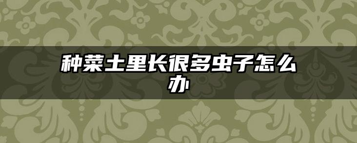种菜土里长很多虫子怎么办