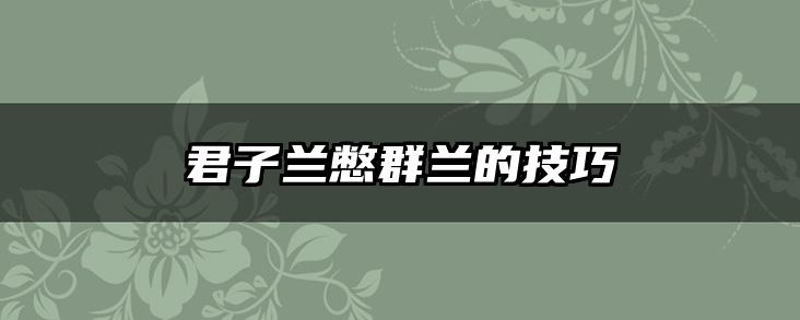 君子兰憋群兰的技巧