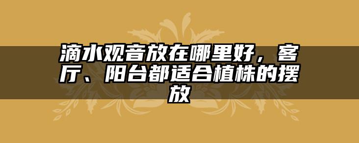 滴水观音放在哪里好,客厅、阳台都适合植株的摆放