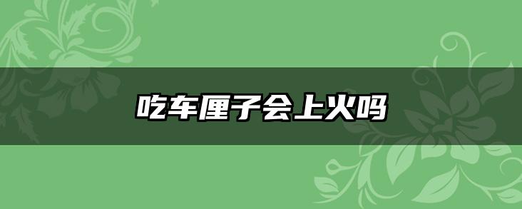 吃车厘子会上火吗