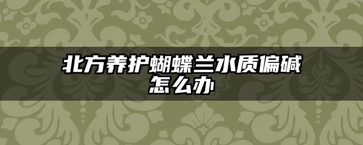 北方养护蝴蝶兰水质偏碱怎么办