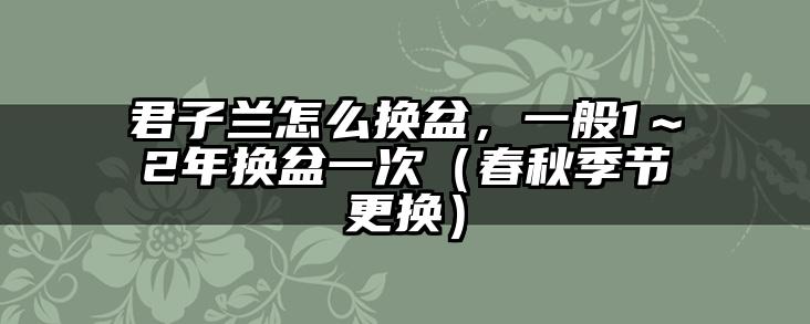 君子兰怎么换盆，一般1～2年换盆一次（春秋季节更换）