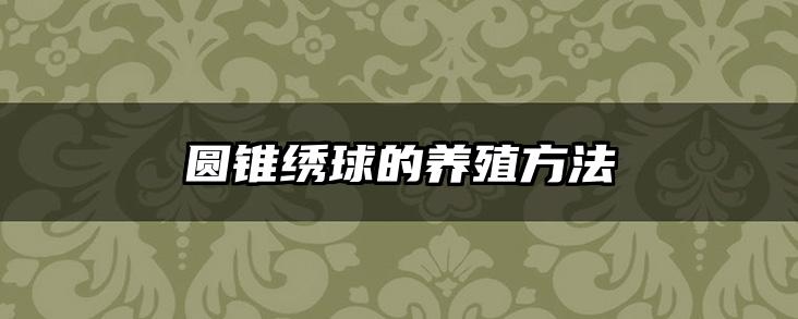 圆锥绣球的养殖方法