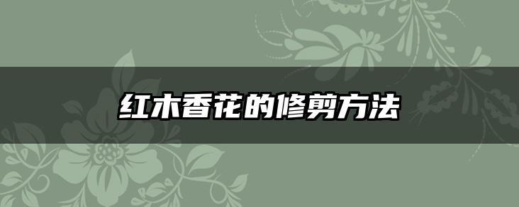 红木香花的修剪方法