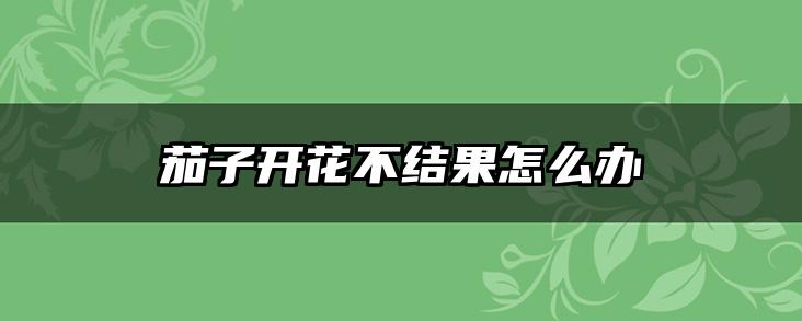 茄子开花不结果怎么办