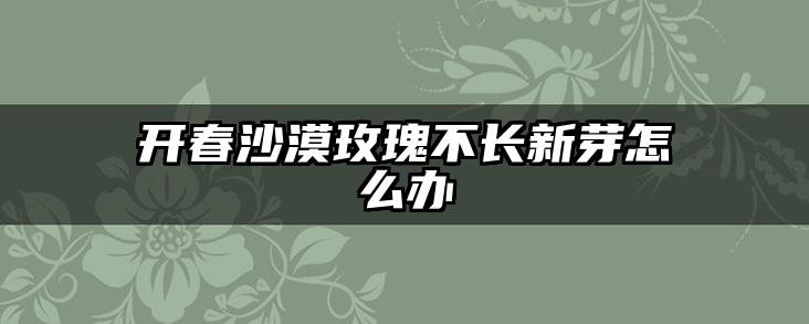 开春沙漠玫瑰不长新芽怎么办