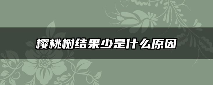 樱桃树结果少是什么原因