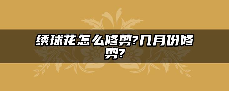 绣球花怎么修剪?几月份修剪?
