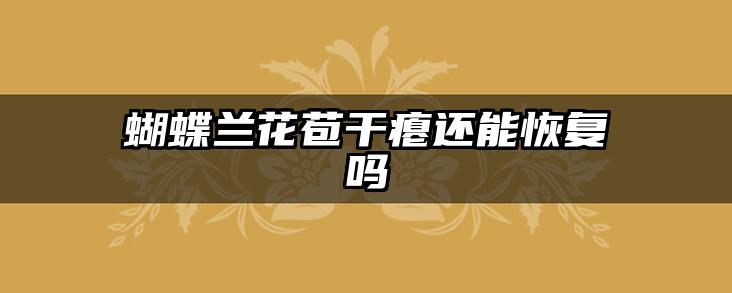 蝴蝶兰花苞干瘪还能恢复吗
