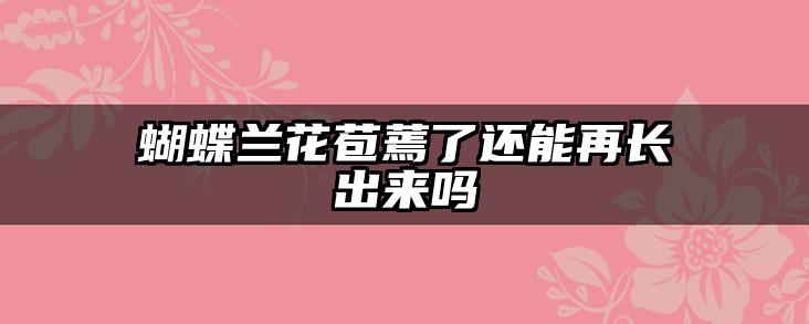 蝴蝶兰花苞蔫了还能再长出来吗