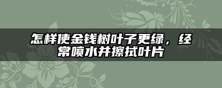 怎样使金钱树叶子更绿，经常喷水并擦拭叶片