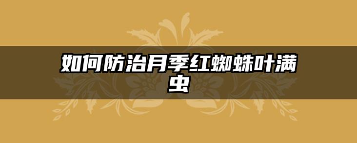 如何防治月季红蜘蛛叶满虫