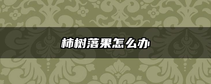 柿树落果怎么办