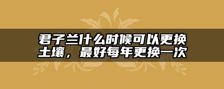 君子兰什么时候可以更换土壤，最好每年更换一次