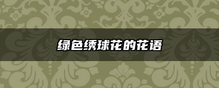绿色绣球花的花语