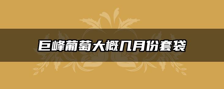 巨峰葡萄大概几月份套袋
