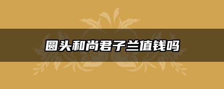 圆头和尚君子兰值钱吗