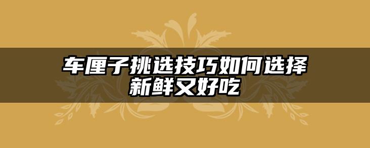 车厘子挑选技巧如何选择新鲜又好吃