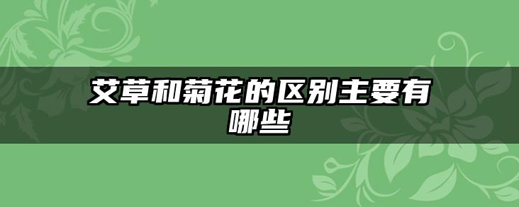艾草和菊花的区别主要有哪些