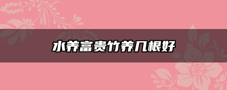 水养富贵竹养几根好
