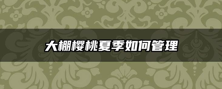 大棚樱桃夏季如何管理