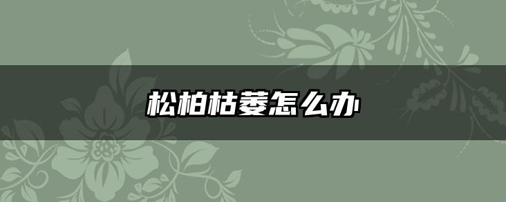 松柏枯萎怎么办