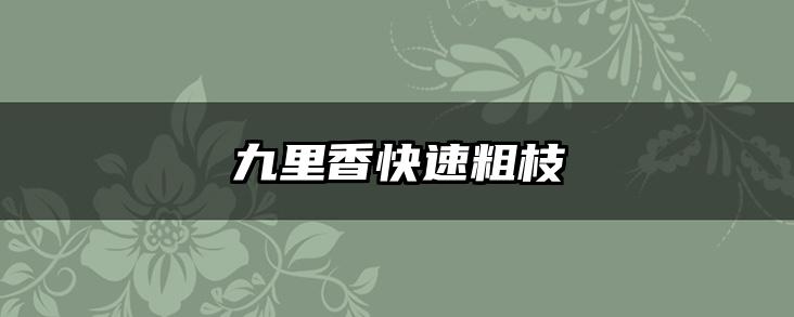 九里香快速粗枝