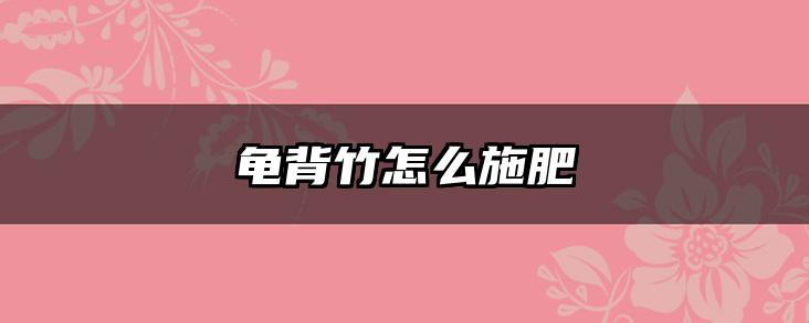 龟背竹怎么施肥