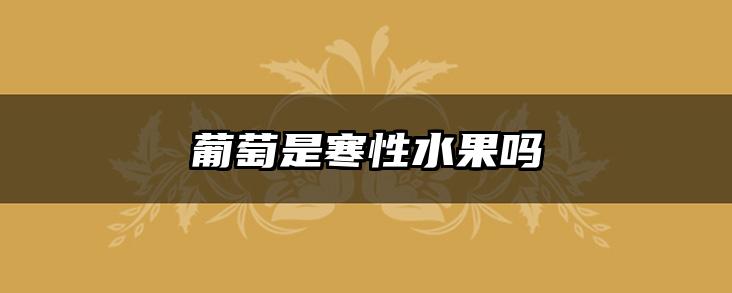 葡萄是寒性水果吗