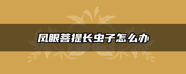 凤眼菩提长虫子怎么办