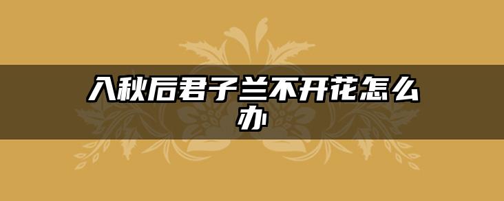 入秋后君子兰不开花怎么办