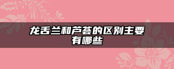 龙舌兰和芦荟的区别主要有哪些